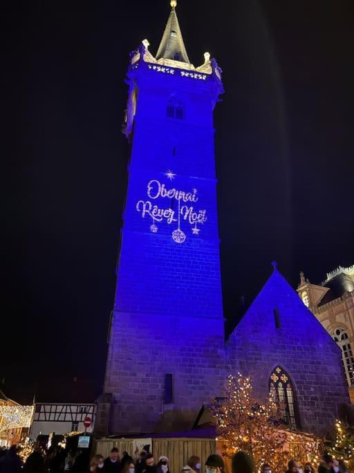 Appartamento Le Jardin Paisible-Proche Centre Obernai Esterno foto